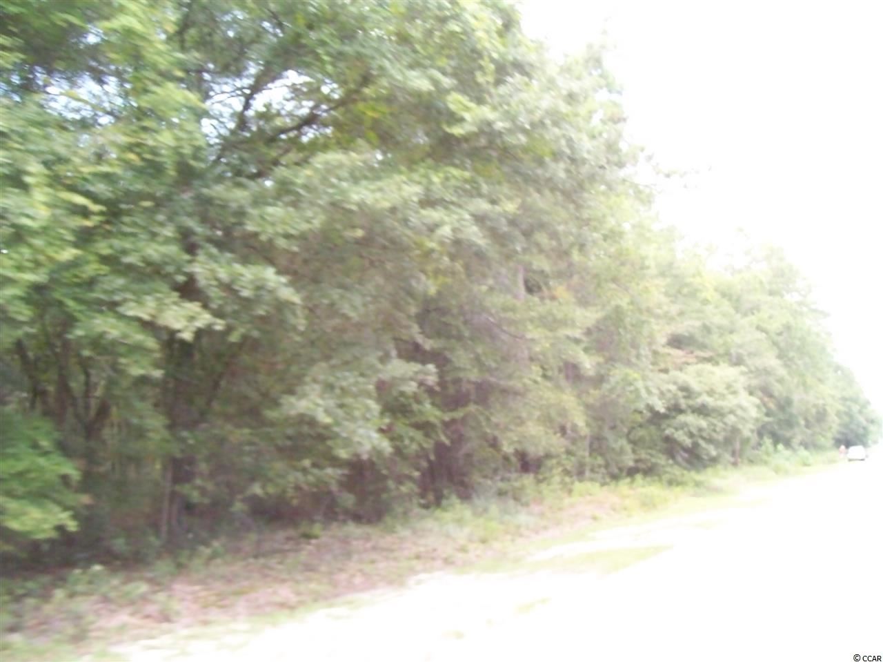 Nelson Road Little River, SC 29566 - Photo 6 of 13 Gallery Image 6