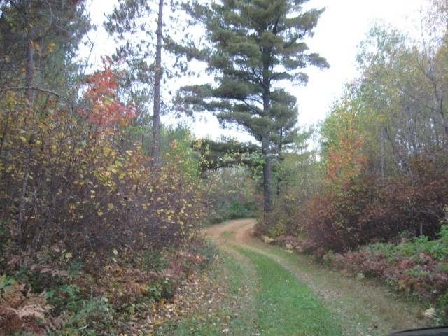 On Spring Drive Rhinelander, WI 54501 - Photo 13 of 20 Gallery Image 13