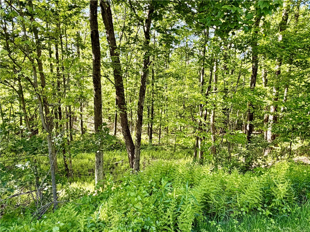 559 Mott Hill Road Edmeston, NY 13335 - Photo 39 of 40