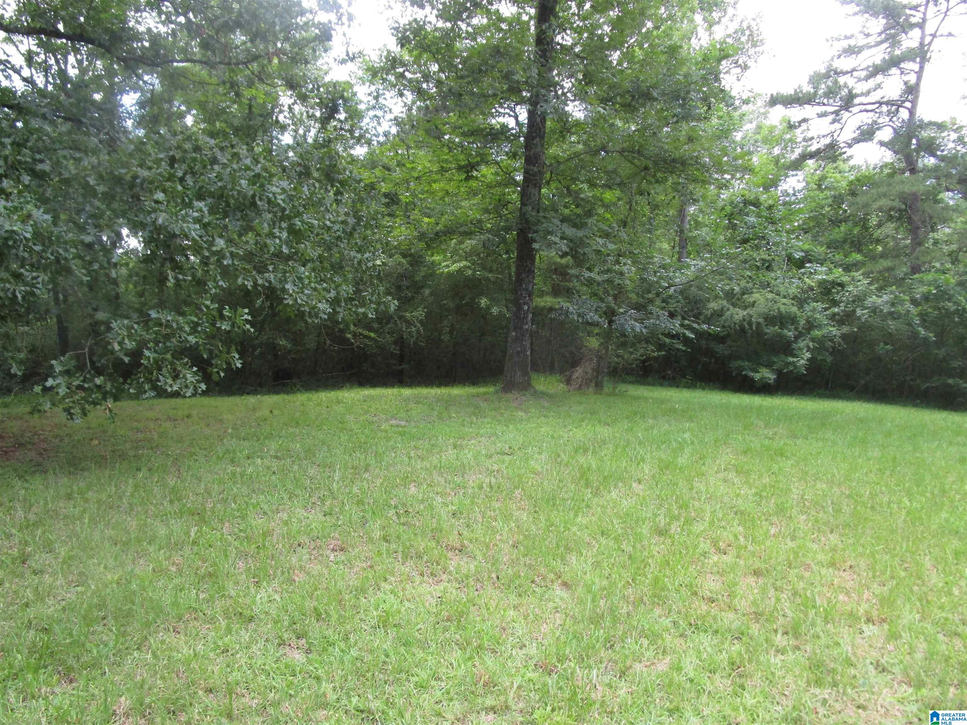 191 Shady Hill Road Warrior, AL 35180 - Photo 19 of 34