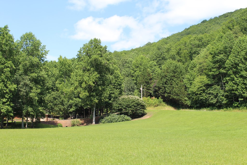 0 Wolf Mountain Road Murphy, NC 28906 - Photo 9 of 9