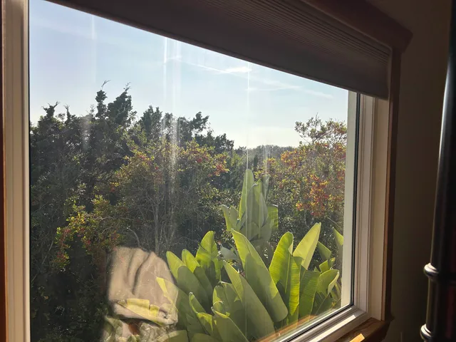 view of an outdoor space