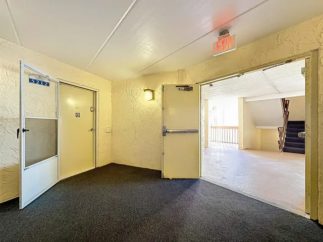 a palm tree with yard