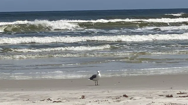 $499,000 | 880 A1A Beach Boulevard, Unit 5212, St. Augustine, FL 32080