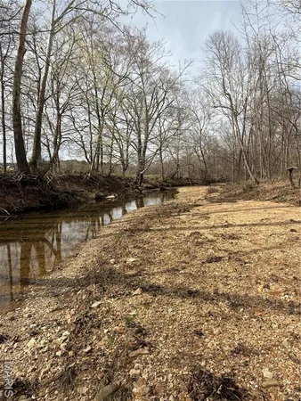 $159,900 | 1046 Wayne 372, Piedmont, MO 63957