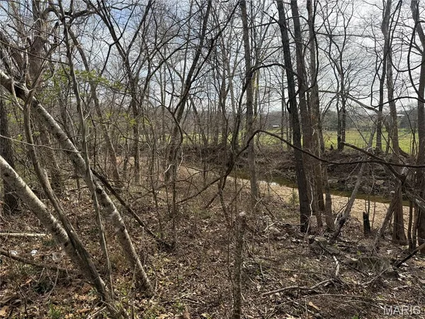 $159,900 | 1046 Wayne 372, Patterson, MO 63956