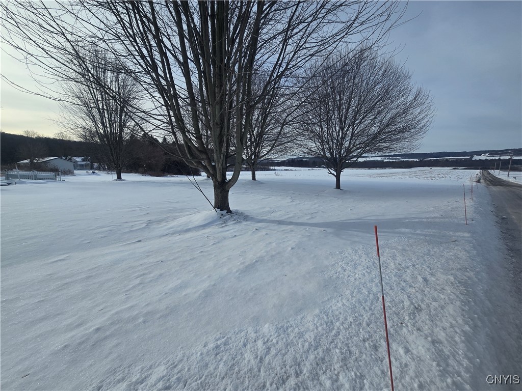 201 Cemetery Road Sangerfield, NY 13480 - Photo 7 of 32