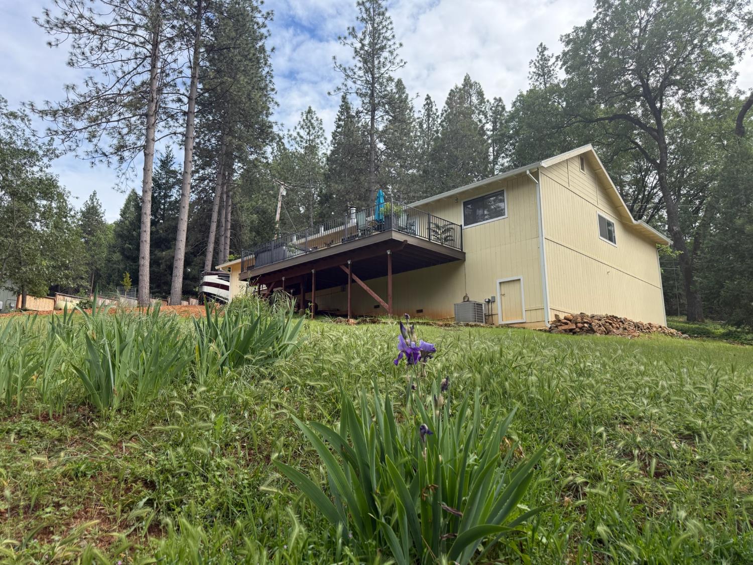 18110 Alexandra Way Grass Valley, CA 95949 - Photo 30 of 33