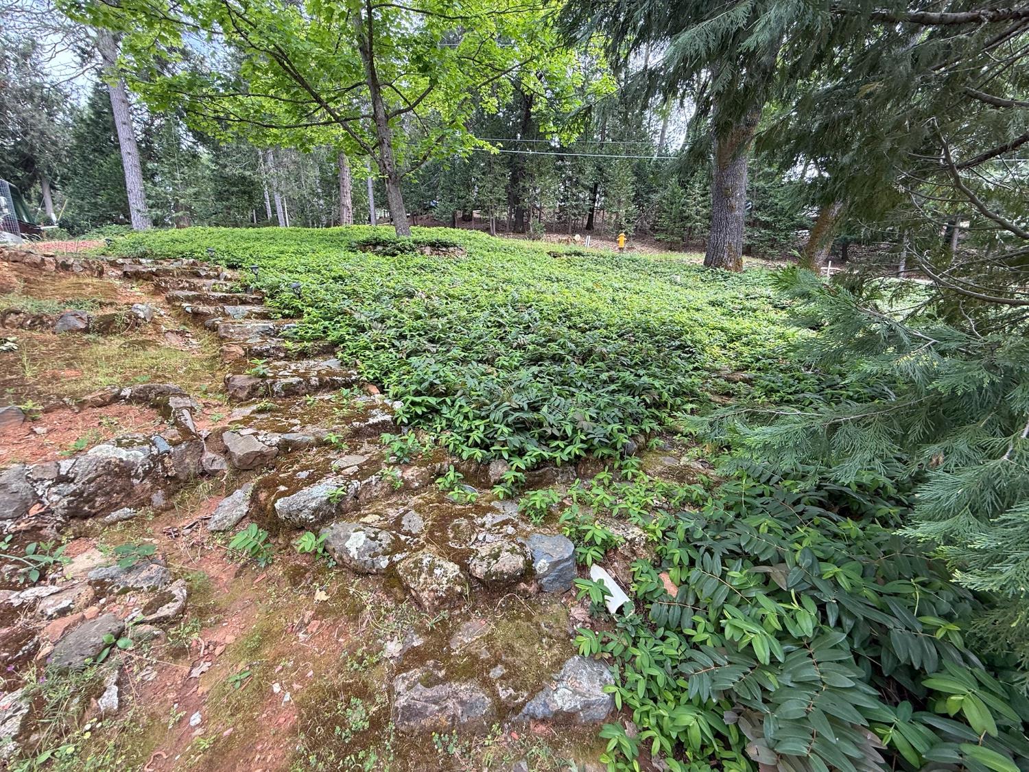 18110 Alexandra Way Grass Valley, CA 95949 - Photo 33 of 33