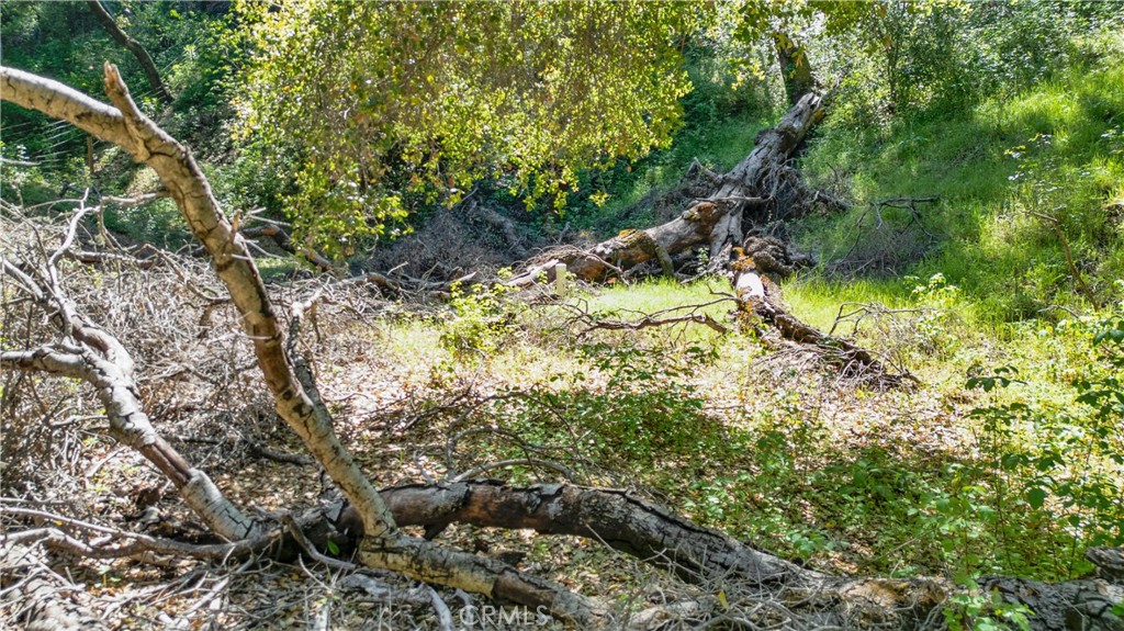 0 Tres Vista Paso Robles, CA 93446 - Photo 13 of 16 2nd capped well