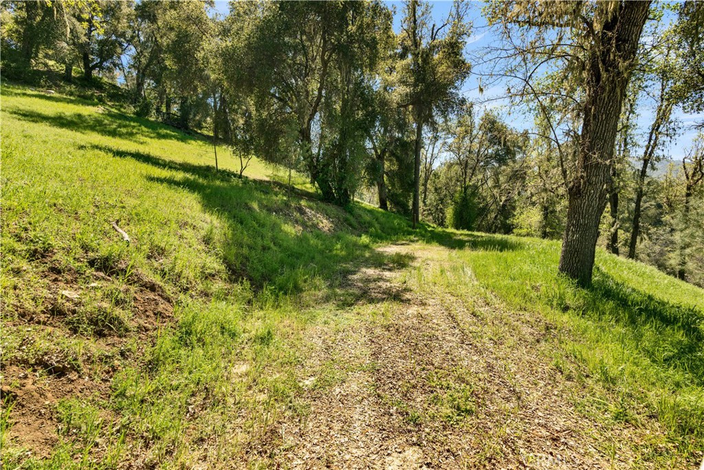 0 Tres Vista Paso Robles, CA 93446 - Photo 5 of 16 Potential 2nd home site