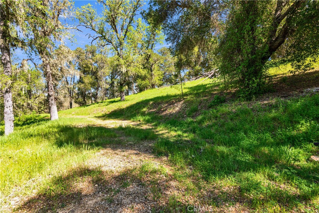 0 Tres Vista Paso Robles, CA 93446 - Photo 6 of 16 Potential 2nd homesite