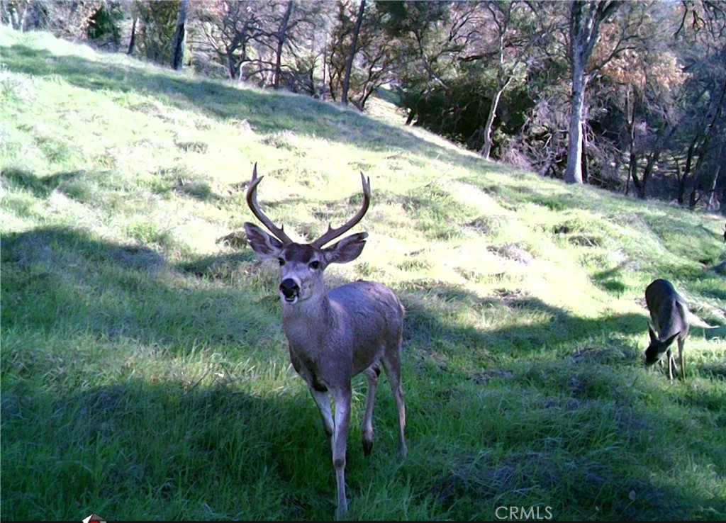 0 Tres Vista Paso Robles, CA 93446 - Photo 8 of 16