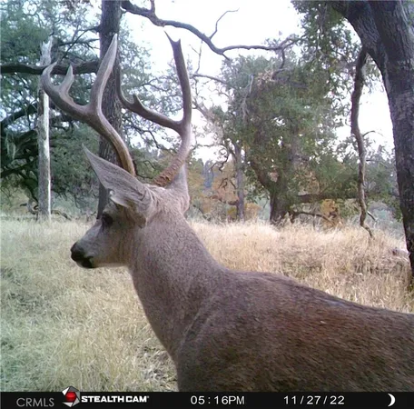 $565,000 | 0 Tres Vista, Paso Robles, CA 93446