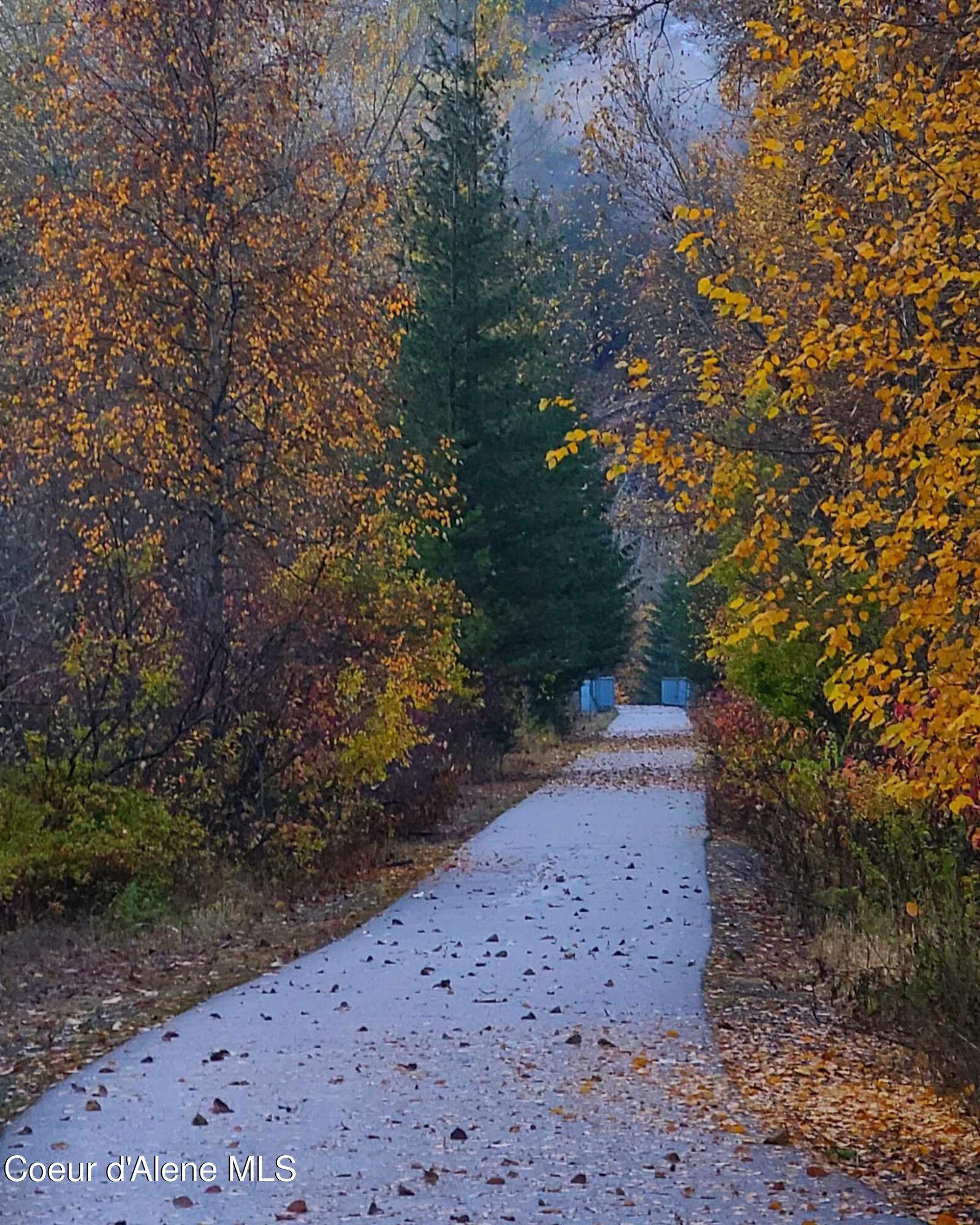 218-224 Earle Street Mullan, ID 83846 - Photo 8 of 14 Bike Path
