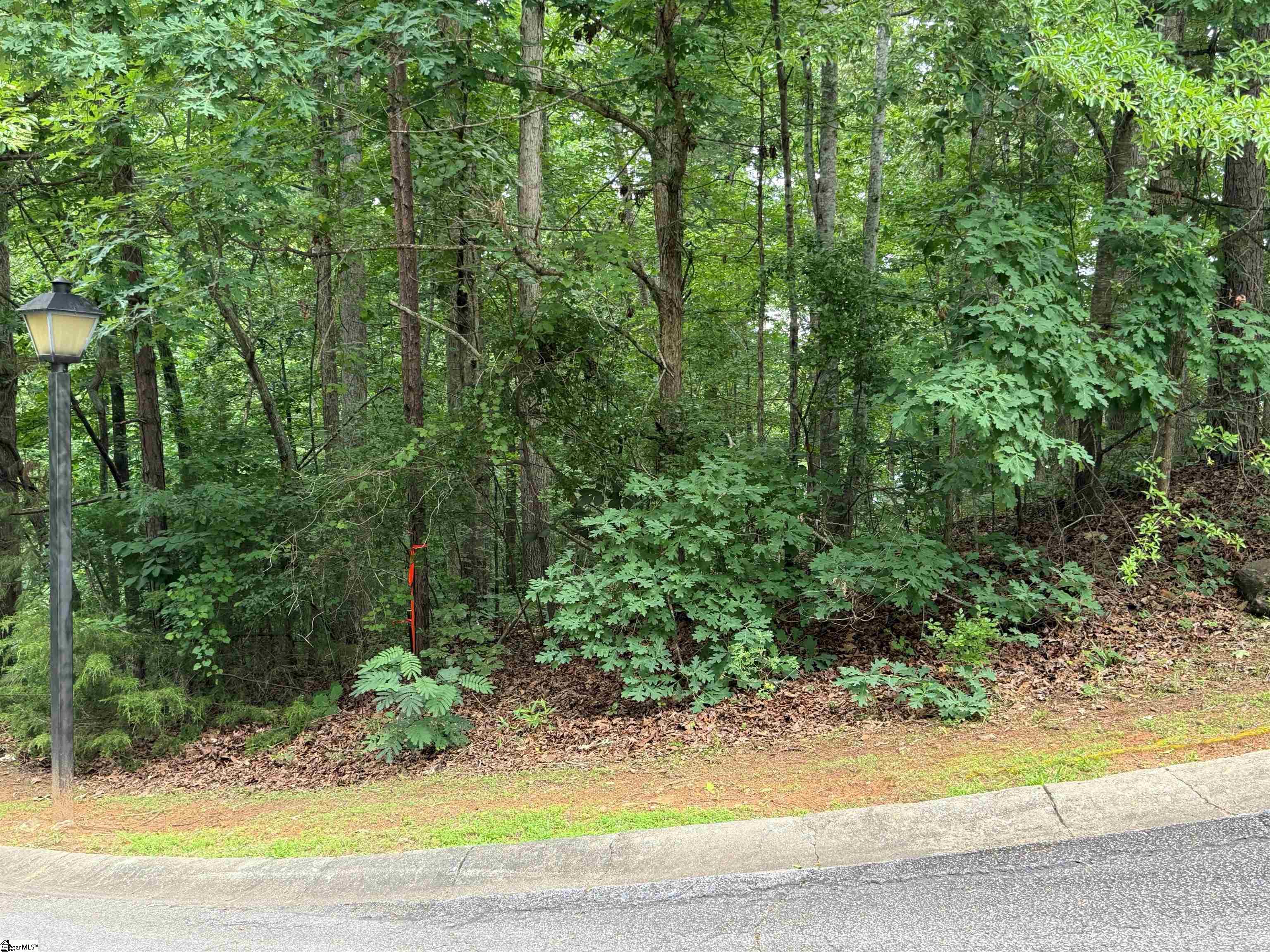 9 Nautica Point Six Mile, SC 29682 - Photo 11 of 19