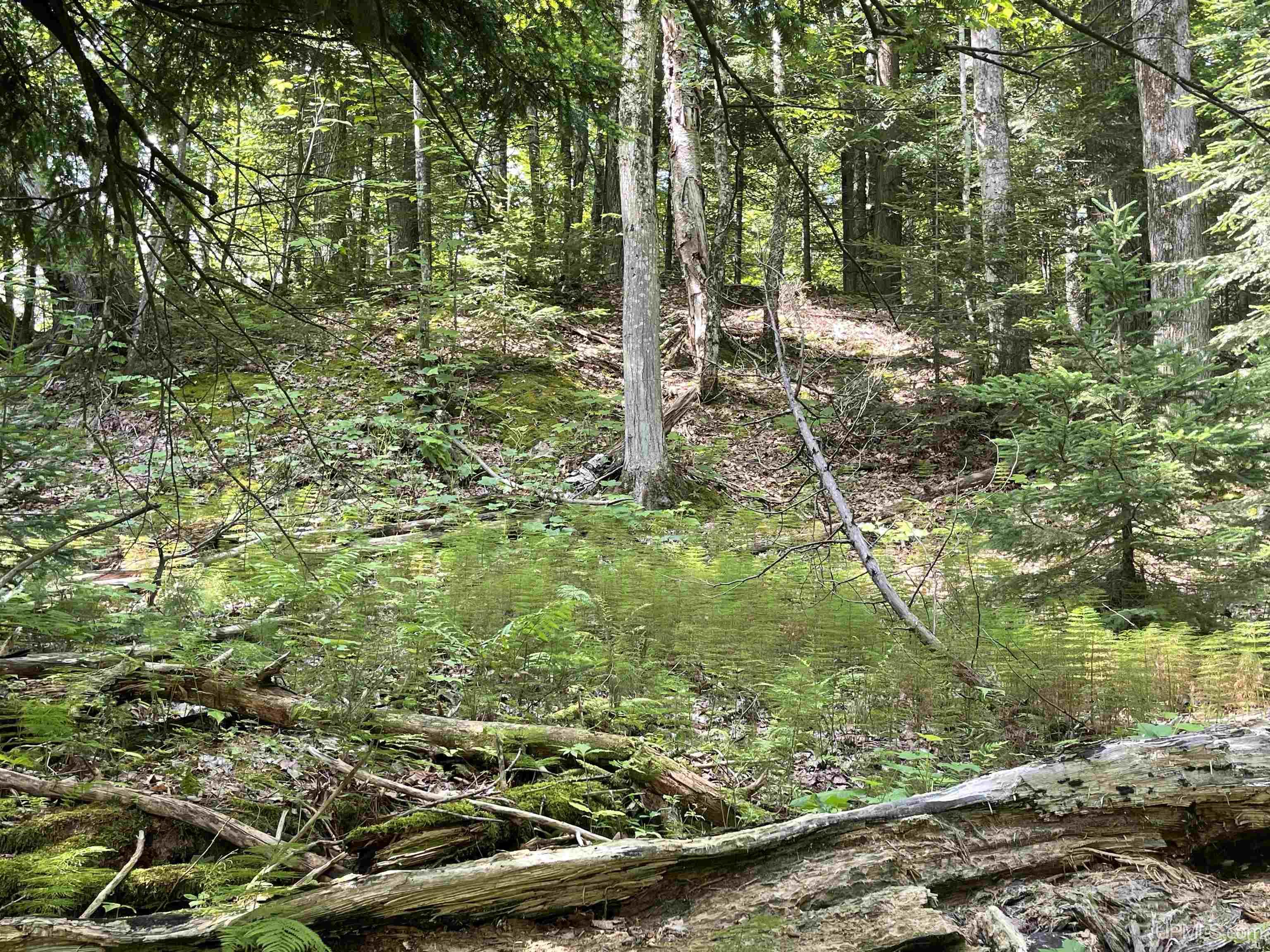 17-ac Cooper Lake Road Ishpeming, MI 49849 - Photo 8 of 10