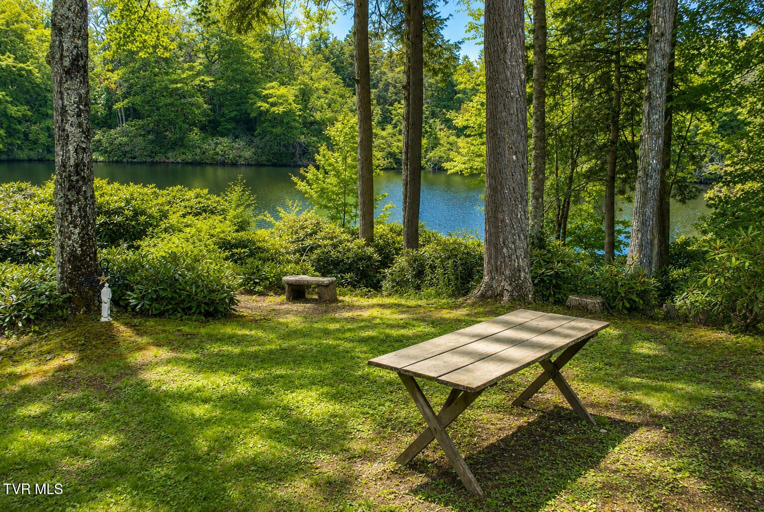 282 Ripshin Lake Road Roan Mountain, TN 37687 - Photo 21 of 72 Lake 5