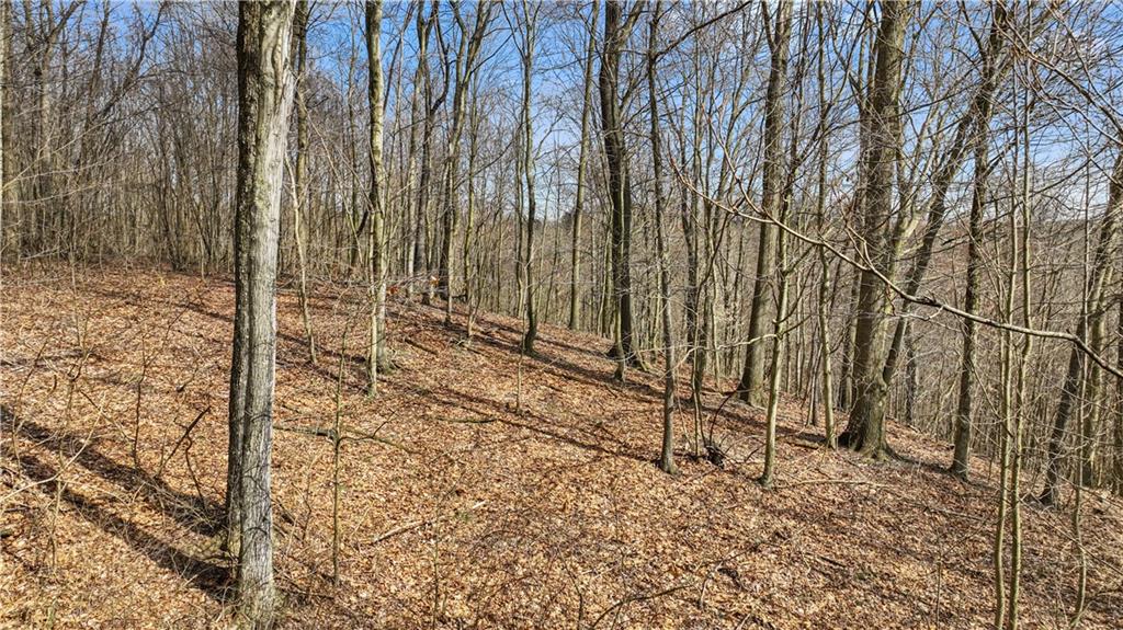 0 Falbo Road Perryopolis, PA 15473 - Photo 14 of 26