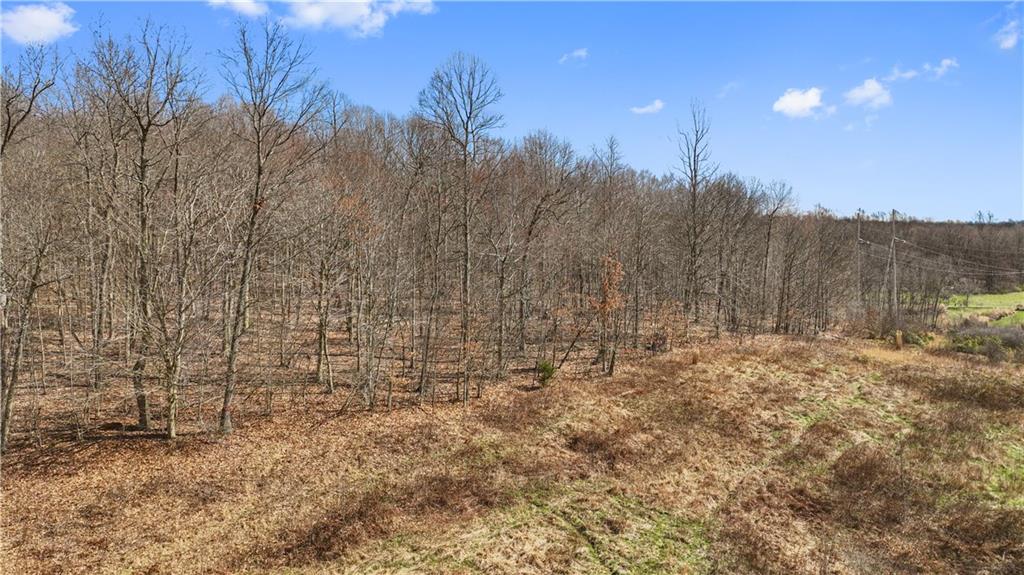 0 Falbo Road Perryopolis, PA 15473 - Photo 3 of 26