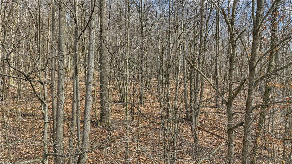 0 Falbo Road Perryopolis, PA 15473 - Photo 7 of 26