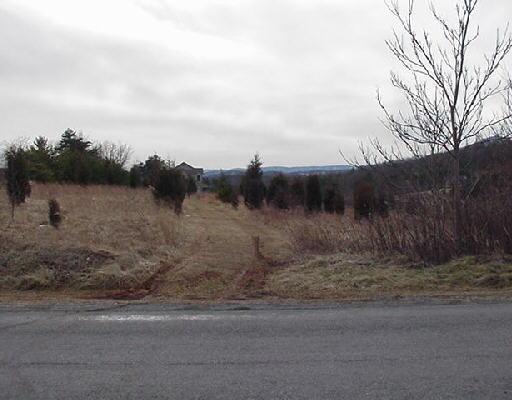 5471 Alean Road Boones Mill, VA 24065 - Photo 1 of 2 Listing Photo