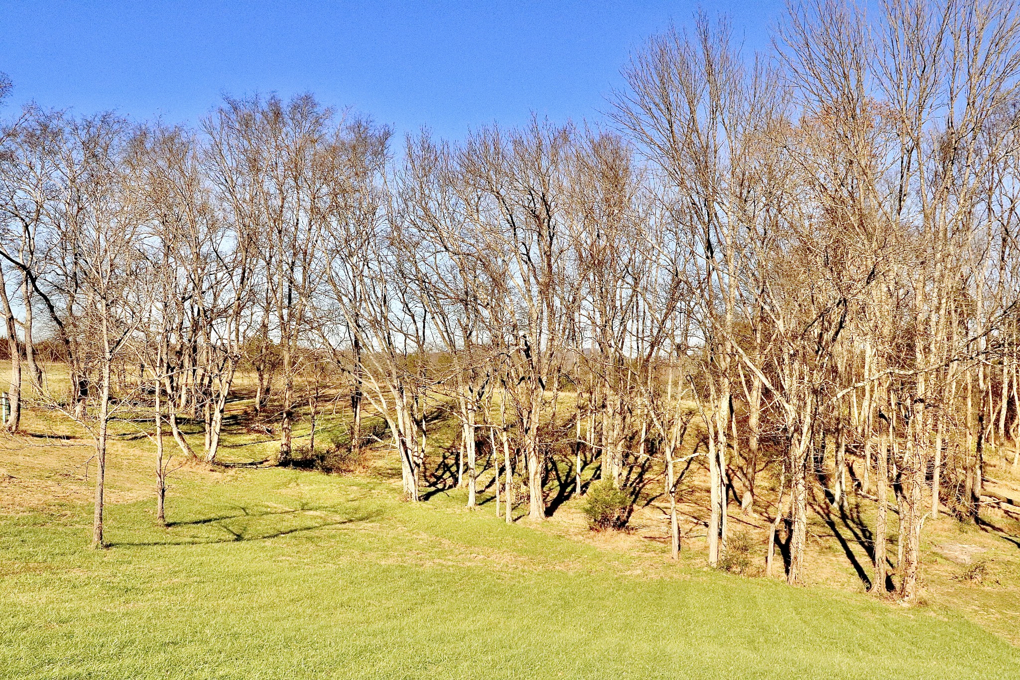 740 Armstrong Road Castalian Springs, TN 37031 - Photo 19 of 19 Gallery Image 19