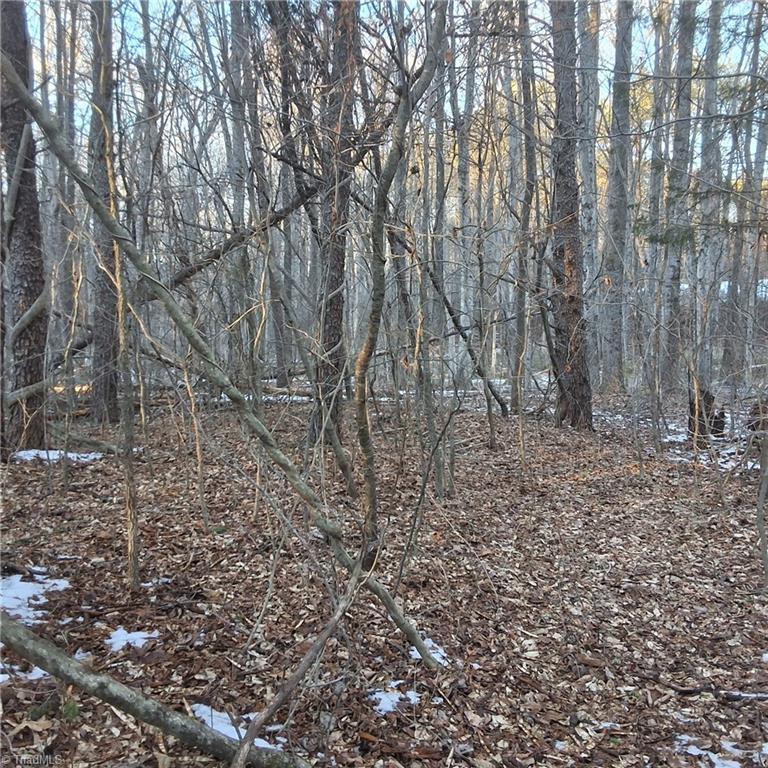 865 Narrow Gauge Road Reidsville, NC 27320 - Photo 3 of 18 Gallery Image 3