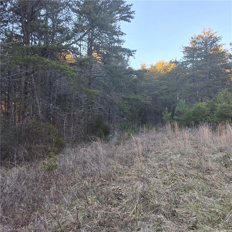 865 Narrow Gauge Road Reidsville, NC 27320 - Photo 8 of 18 Gallery Image 8