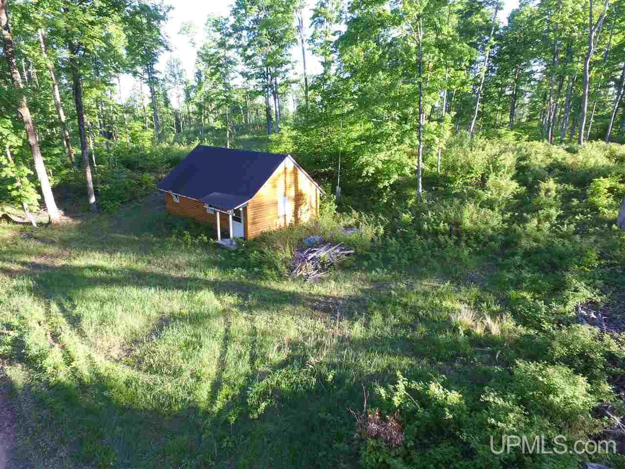 2353 Co Rd 442 Rapid River, MI 49878 - Photo 4 of 20