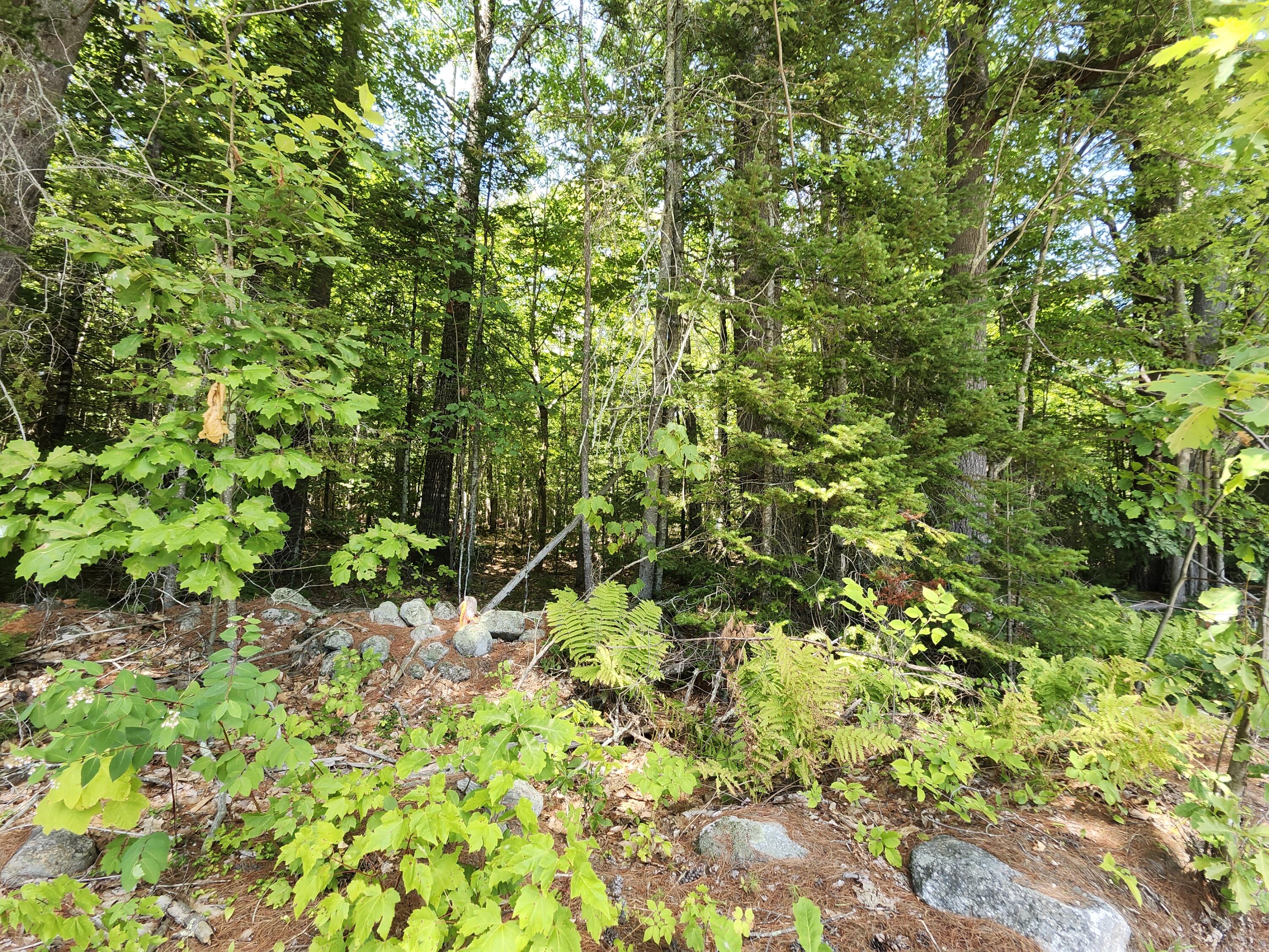 Tbd Bridgton Road Sebago, ME 04029 - Photo 3 of 7 20260724_122