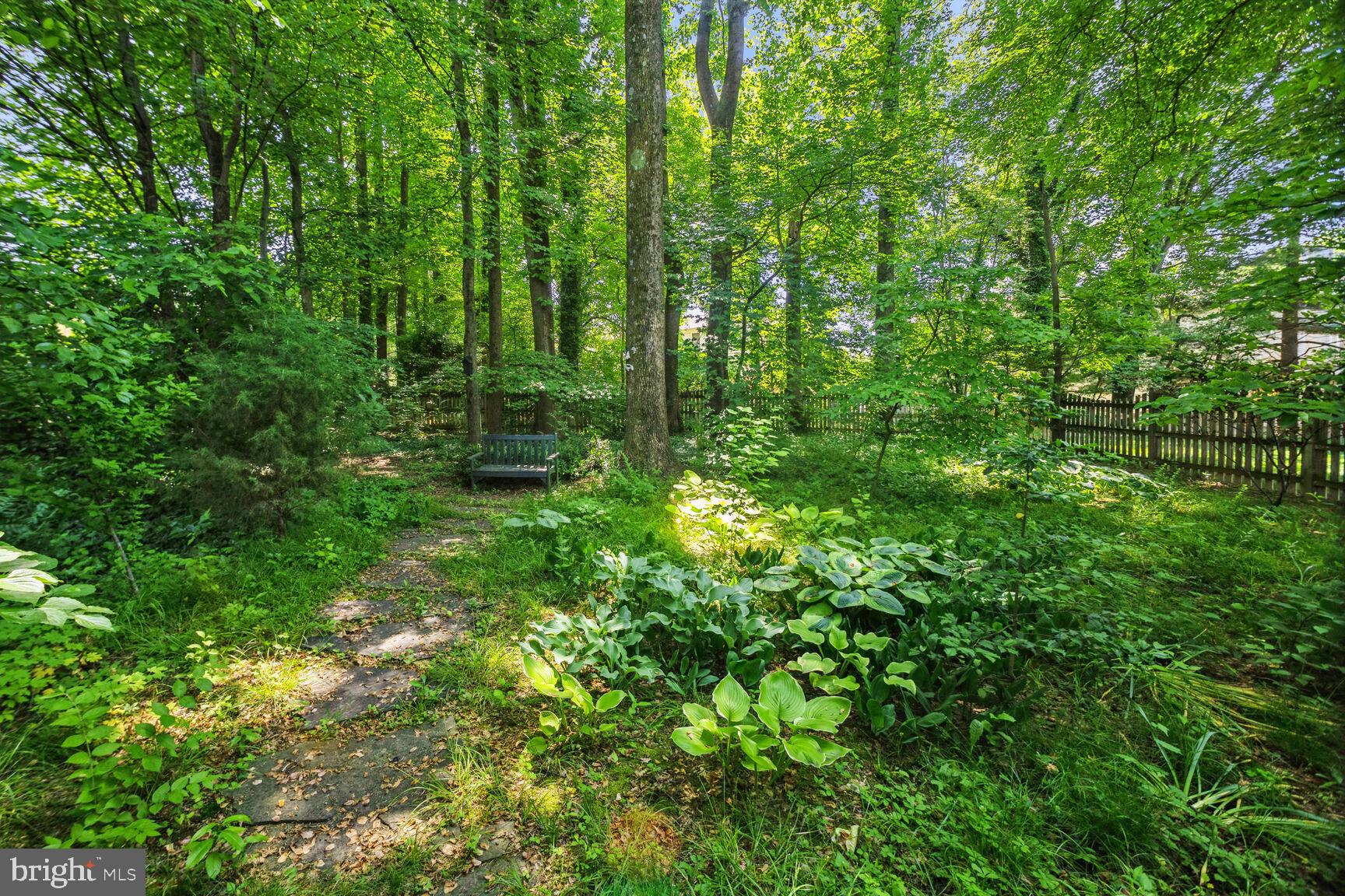 725 Sonata Way Silver Spring, MD 20901 - Photo 29 of 30 Private and secluded fenced in backyard