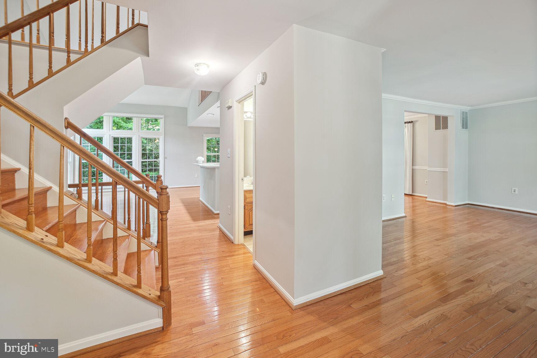725 Sonata Way Silver Spring, MD 20901 - Photo 3 of 30 Gleaming hardwood floors & fresh paint throughout