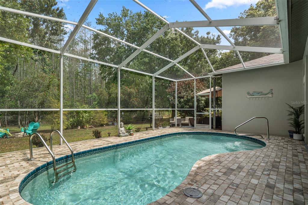 10139 Highcrest Lane New Port Richey, FL 34654 - Photo 40 of 52