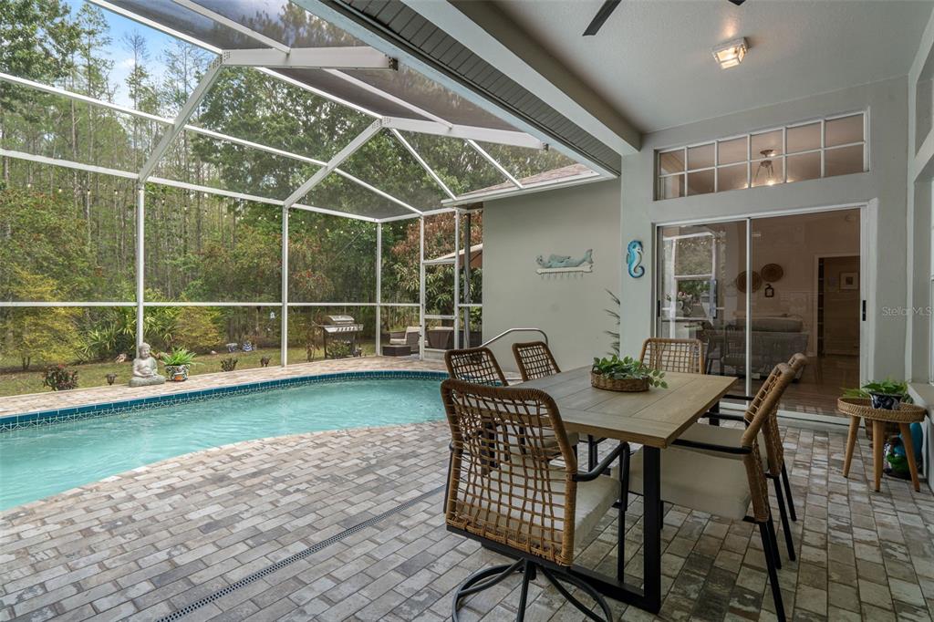 10139 Highcrest Lane New Port Richey, FL 34654 - Photo 41 of 52