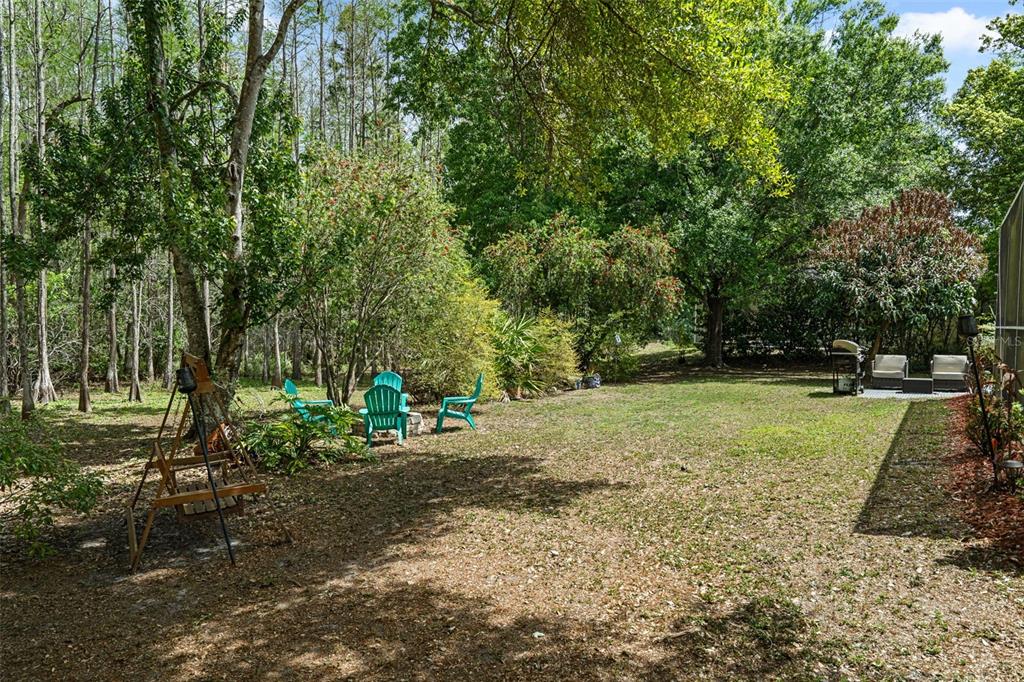 10139 Highcrest Lane New Port Richey, FL 34654 - Photo 48 of 52