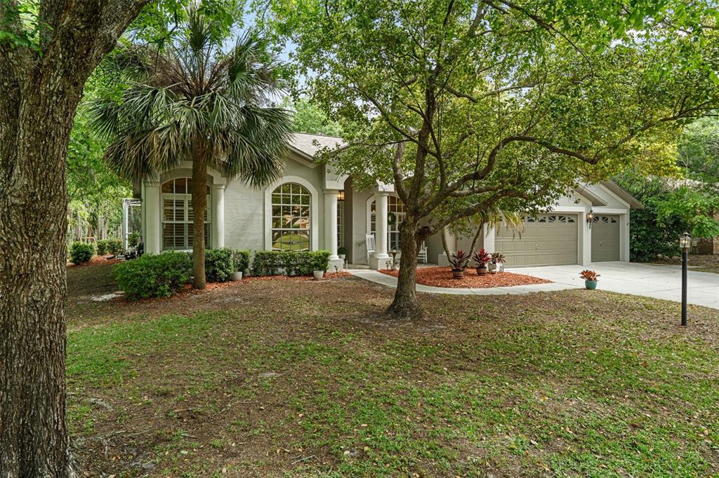 10139 Highcrest Lane New Port Richey, FL 34654 - Photo 52 of 52