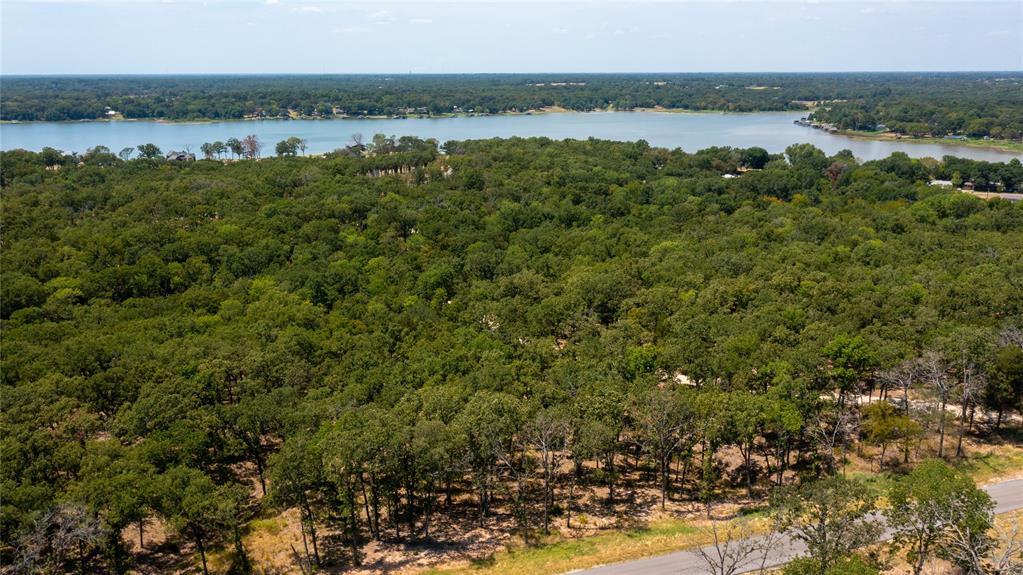 7321 Ranch Oaks Trail Malakoff, TX 75148 - Photo 8 of 21 a view of lake