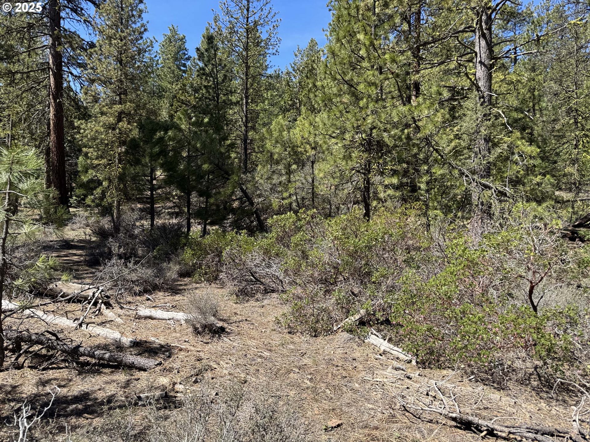 Horned Owl Lane Bonanza, OR 97623 - Photo 15 of 44