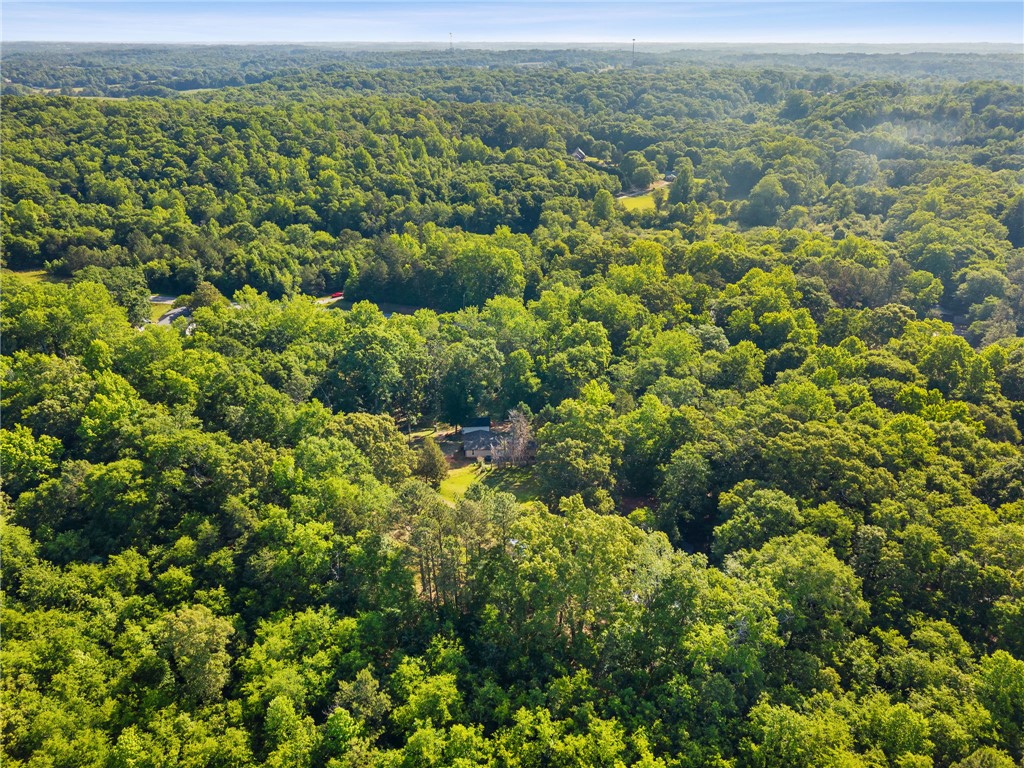 217 Old River Road Pelzer, SC 29669 - Photo 27 of 30 Discover a private residence nestled amidst a vast, verdant expanse of mature trees and rolling hills.