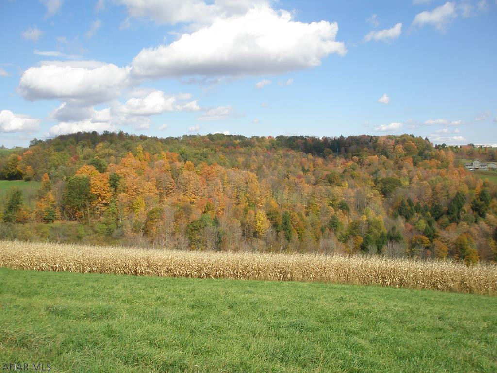0 Farabaugh Road Loretto, PA 15940 - Photo 1 of 12 Gallery Image 1
