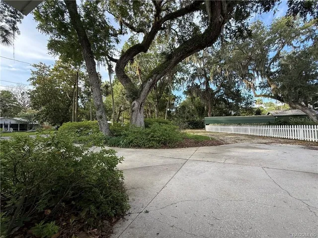a view of a backyard with large trees