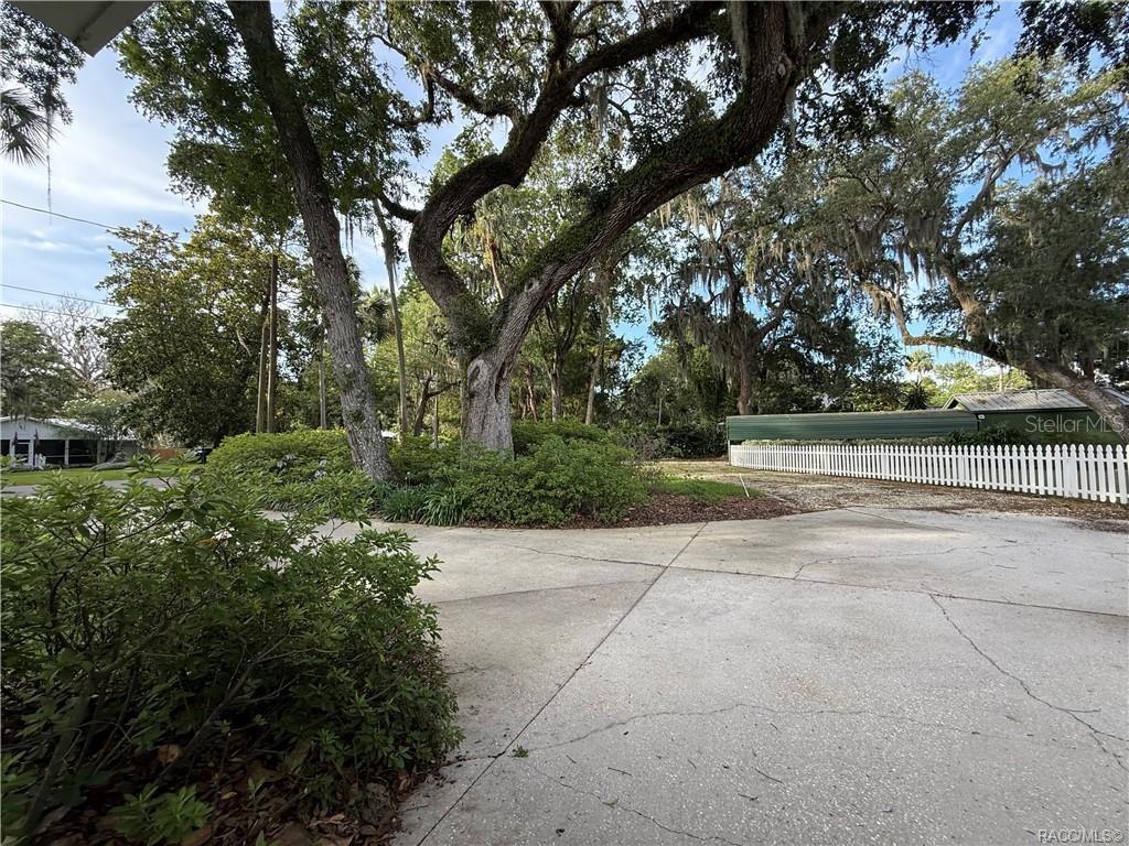 5217 Riverside Drive Yankeetown, FL 34498 - Photo 14 of 54 a view of backyard with green space
