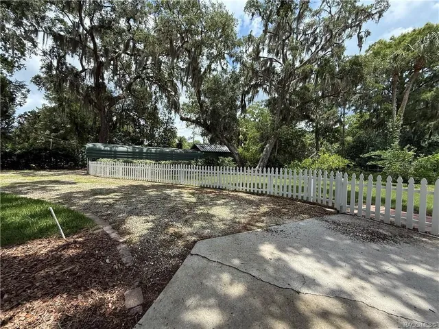 a view of a yard with plants and trees