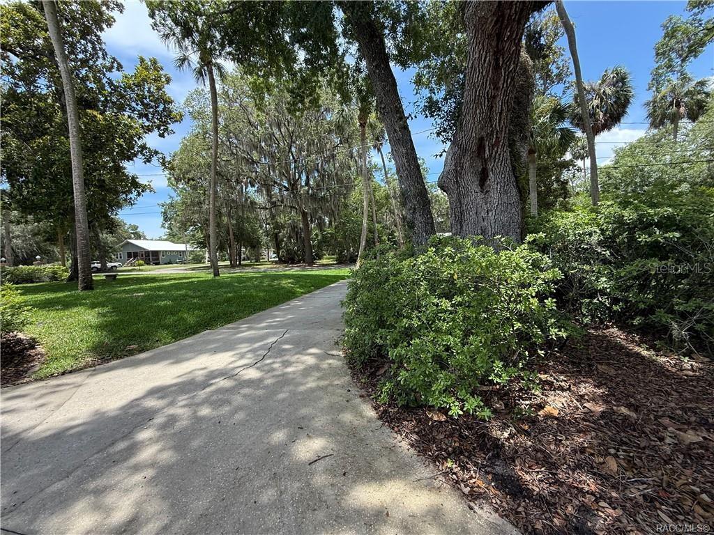 5217 Riverside Drive Yankeetown, FL 34498 - Photo 16 of 54 a view of a yard with plants and trees