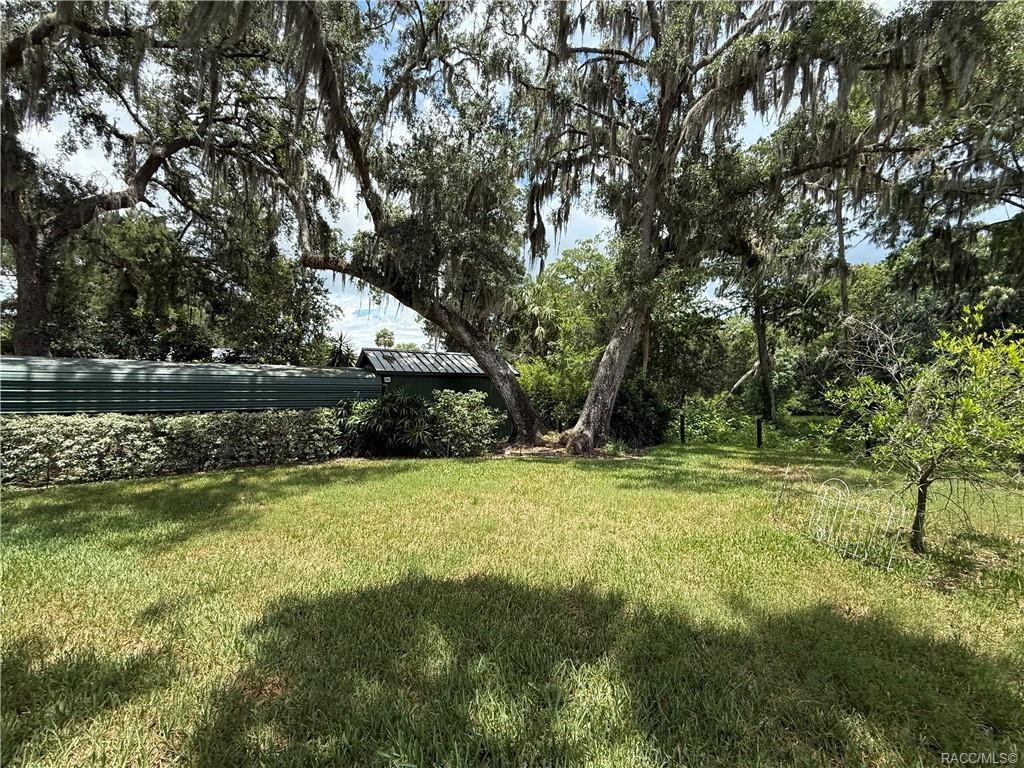 5217 Riverside Drive Yankeetown, FL 34498 - Photo 44 of 54 a view of backyard with green space