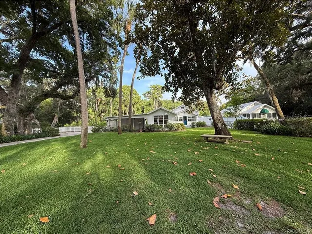 a view of backyard with green space