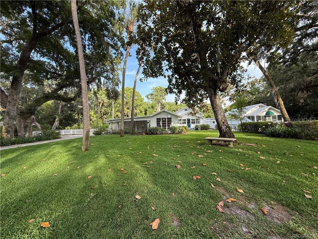 5217 Riverside Drive Yankeetown, FL 34498 - Photo 9 of 54 a view of yard with tree s