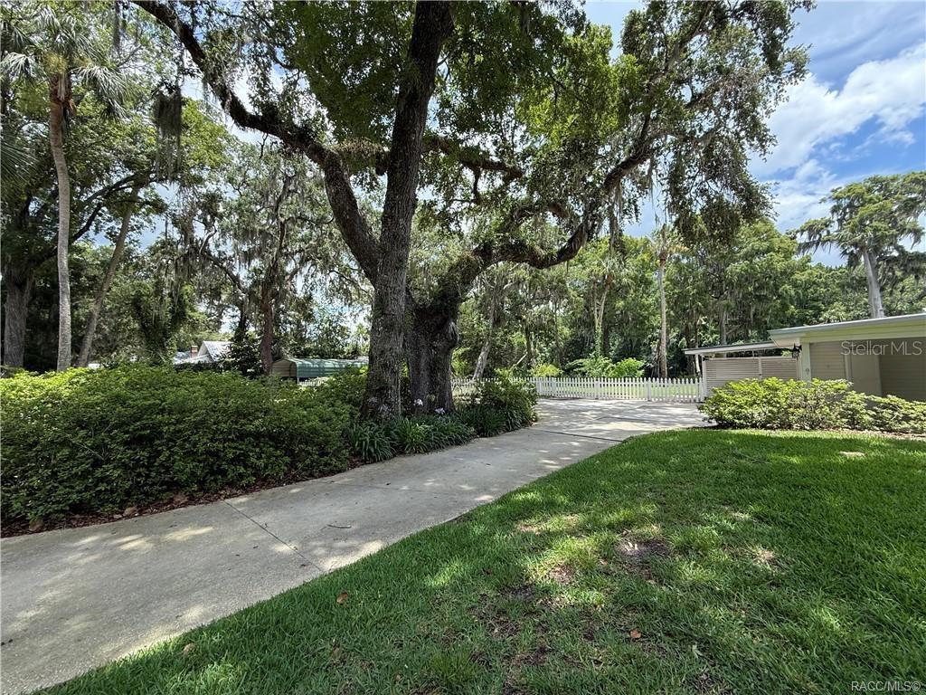 5217 Riverside Drive Yankeetown, FL 34498 - Photo 10 of 54 a view of backyard with green space