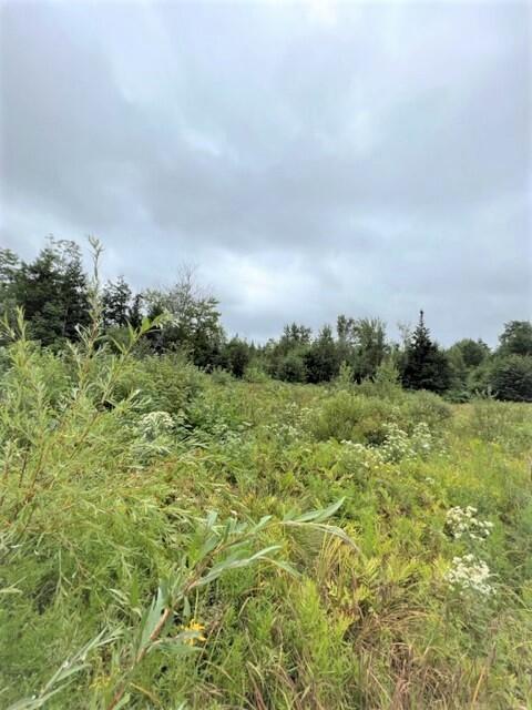 1211 Lyford Road Milo, ME 04463 - Photo 10 of 12 IMG_2687
